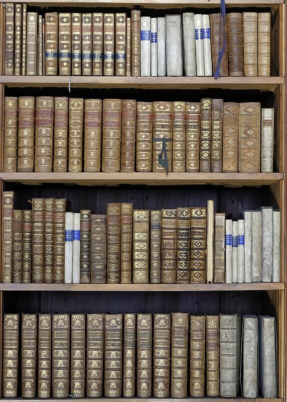 Bücher. Foto: Achim Hohlfeld. 2025